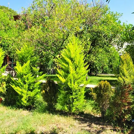 Ikiz Homestay